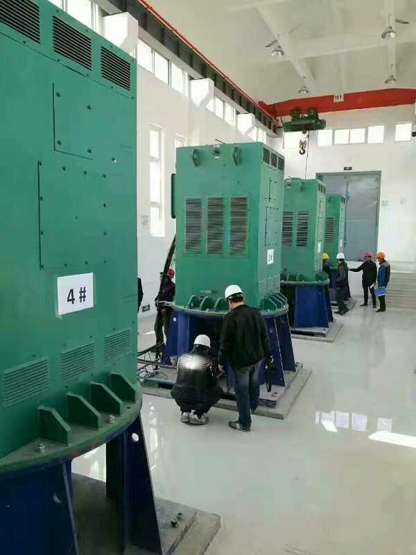 Y7107-4某污水处理厂使用我厂的立式高压电机安装现场